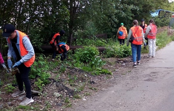Уборкой Костромы занялись экологические трудовые отряды школьников