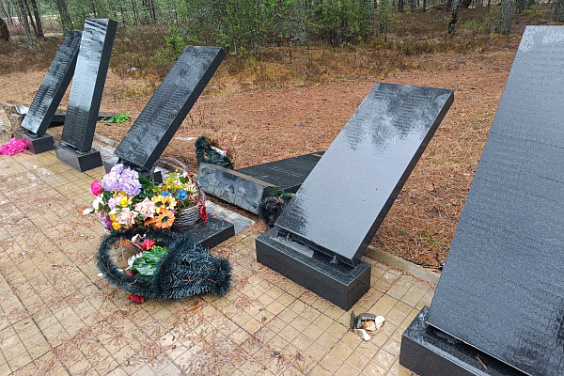 Полицейские поймали вандала, разрушившего мемориал воинам ВОВ в костромском райцентре
