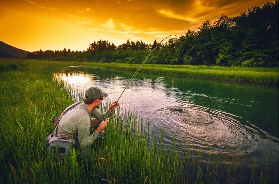 Рыбную ловлю в Костромской области ограничат