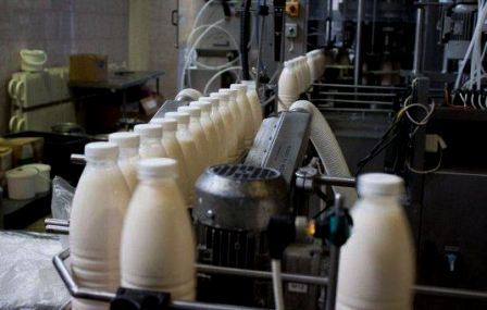 В костромские школы и детсады стали поставлять почти вдвое больше местного молока