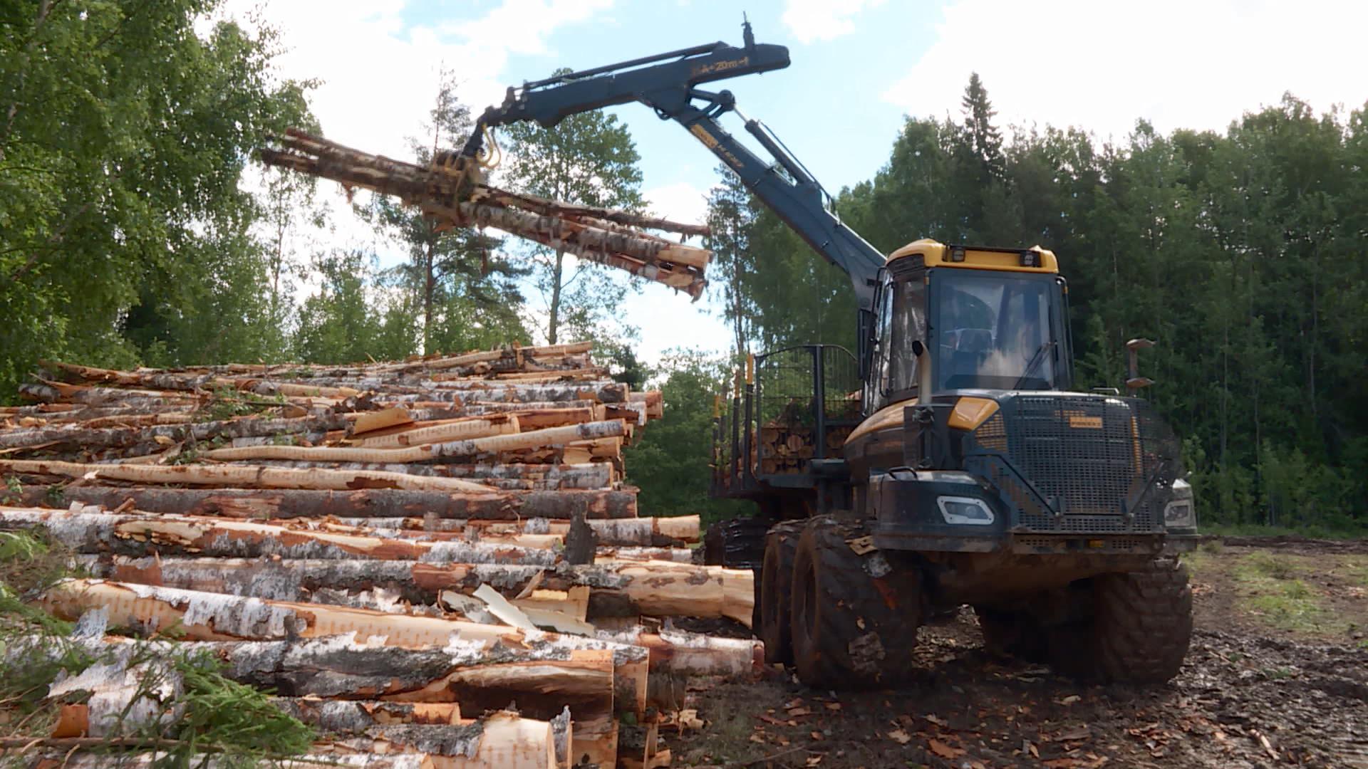 Костромские лесозаготовители не побили рекорд из-за непогоды