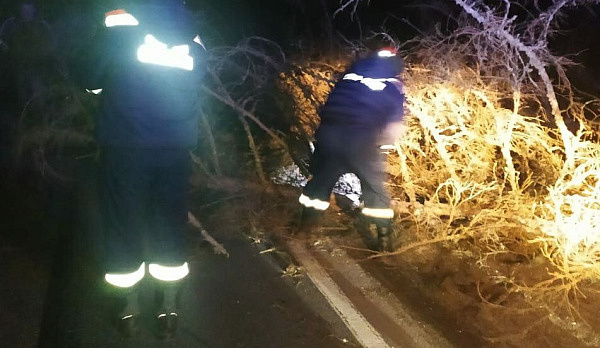 Две дороги под Костромой завалило поваленными деревьями