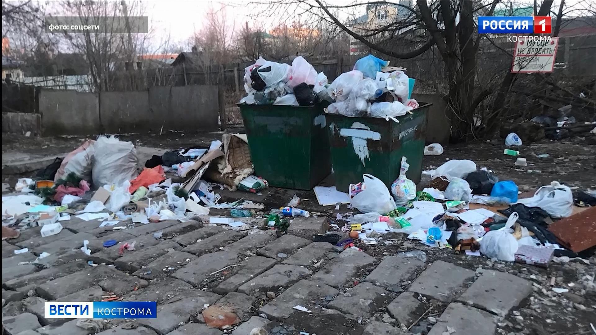 Костромичи наполняют мусорные контейнеры в «новогоднем» режиме