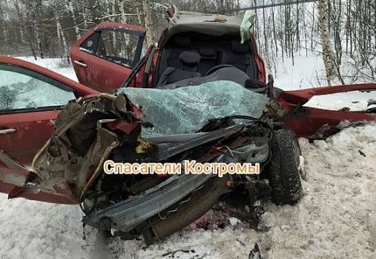 Восемь человек пострадали в лобовом столкновении машин под Костромой