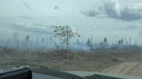 Третьи сутки в костромских лесах тушат пожары
